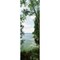 Trees At The Lakeside Cave Point County Park Lake Michigan Door County Wisconsin Usa Poster Print (36 X 12)